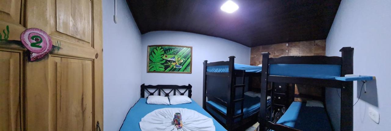 Hostel Tortuguero 7Backpackers 外观 照片