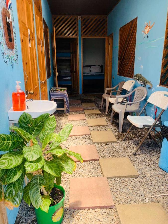 Hostel Tortuguero 7Backpackers 外观 照片