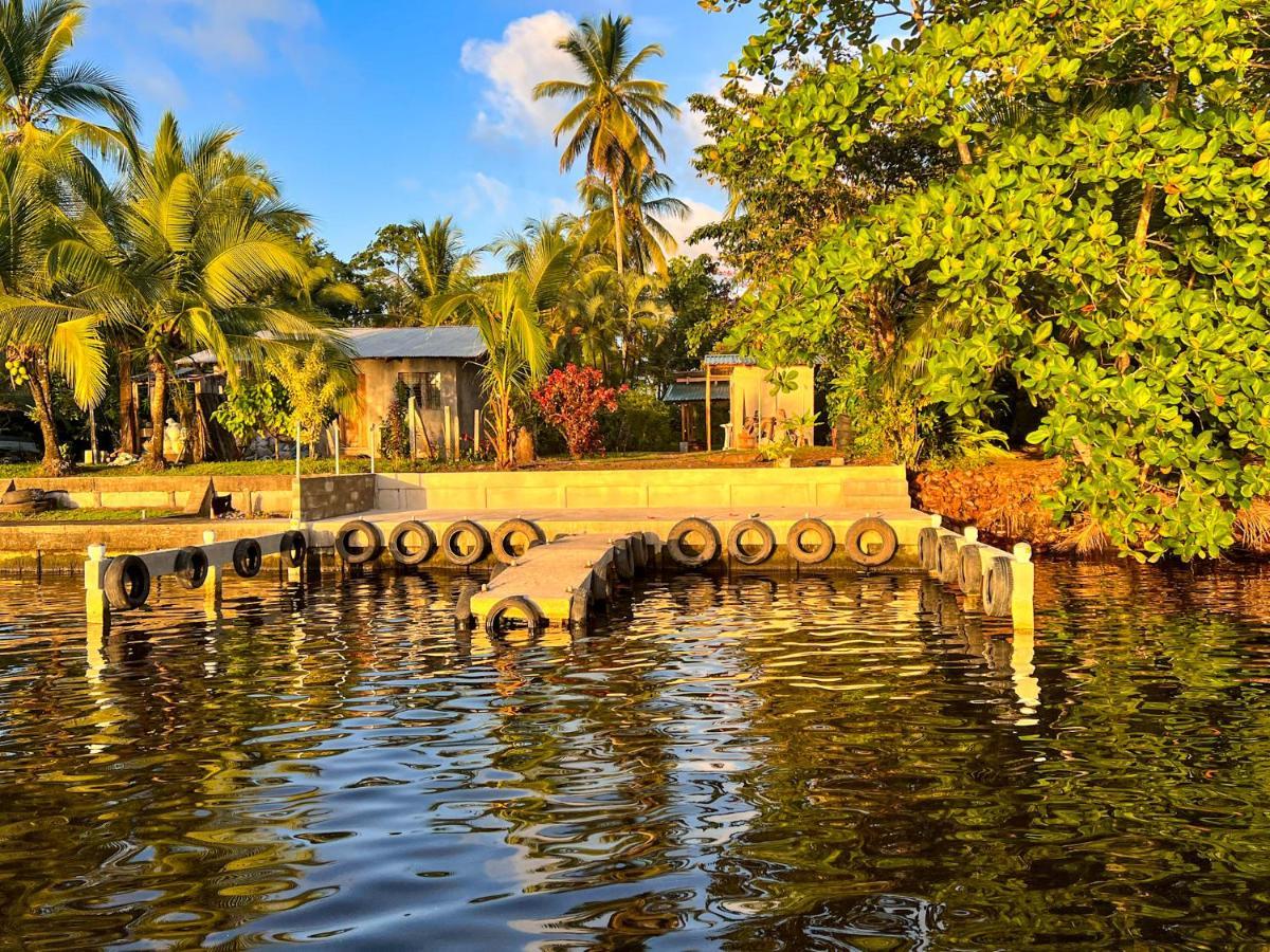 Hostel Tortuguero 7Backpackers 外观 照片